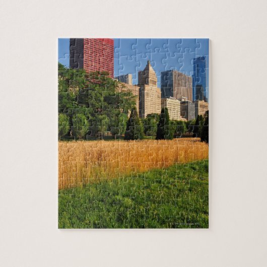 De zon, komt uit prairie als gras legpuzzel (Verticaal)