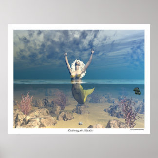 De zon omarmen poster