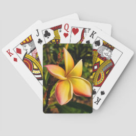 De zon onder ogen zien speelkaarten