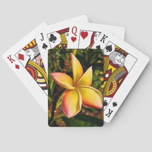 De zon onder ogen zien speelkaarten (Achterkant)