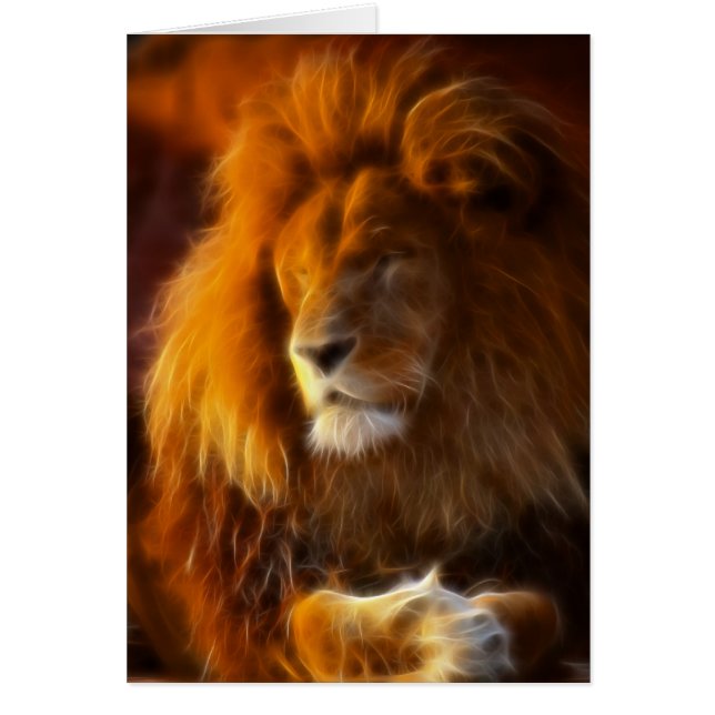 De zon opmaken, koning van de Oerwoud Leeuw II (Voorkant)