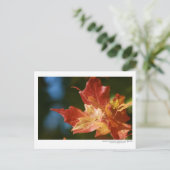 De zon opruimen briefkaart (Staand voorkant)