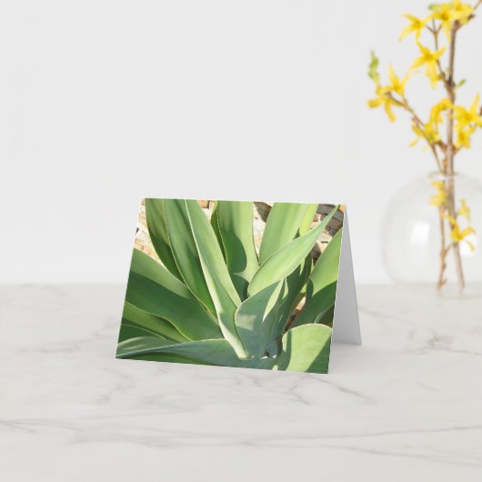 De zon opsnuiven v2 kaart (Gele Bloem)