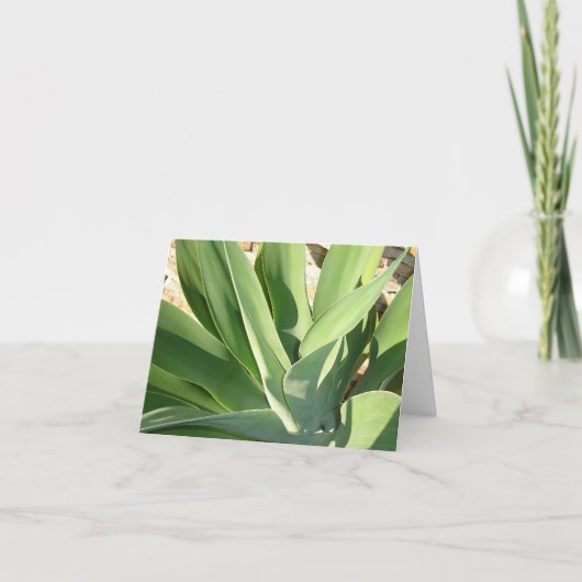 De zon opsnuiven v2 kaart (Voorkant)