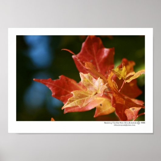 De zon opzwellen poster (Voorkant)