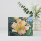 De zon verjagen II, de zon verjagen II Briefkaart (Staand voorkant)