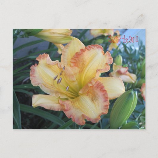 De zon verjagen II, de zon verjagen II Briefkaart (Voorkant)