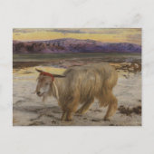 De zondebok briefkaart (Voorkant)