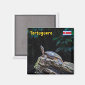 De zonnebaden van de schildpad in Tortuguero - Cos Magneet (Voorkant / Achterkant)