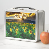 De zonnebloem lunchbox (In situ)