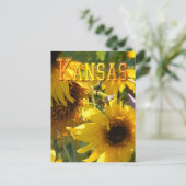 De Zonnebloemen van de teddybeer: Kansas Briefkaart (Staand voorkant)