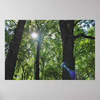 De zonnebubbel poster