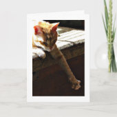 De "zonneschijn van de winter " kaart (Voorkant)