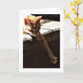 De "zonneschijn van de winter " kaart (Gele Bloem)