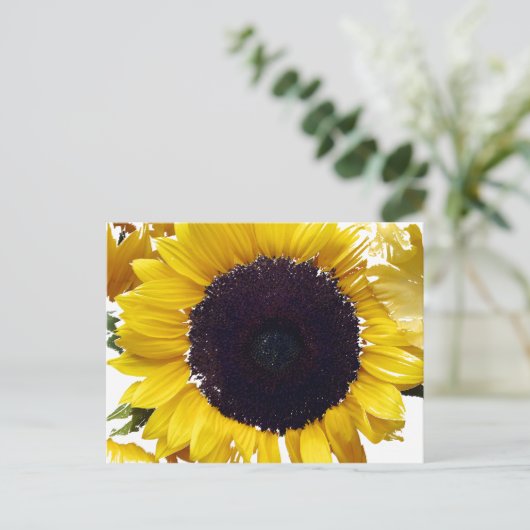 De zonneventilator briefkaart (Staand voorkant)