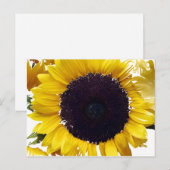 De zonneventilator briefkaart (Voorkant / Achterkant)