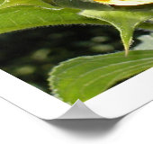 De zonneventilator poster (Hoek)