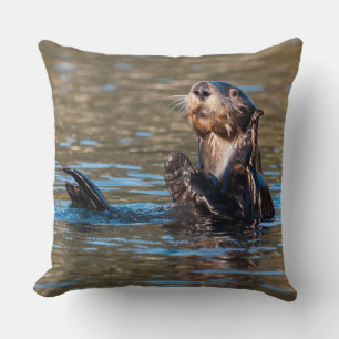 De zonnige Otter van het Zee Kussen