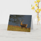 De zonovergoten Kaart van de Groeten van het (Gele Bloem)