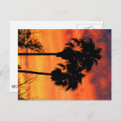 De Zonsondergang van Arizona Briefkaart (Voorkant / Achterkant)