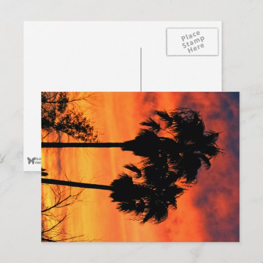 De Zonsondergang van Arizona Briefkaart (Voorkant / Achterkant)