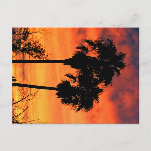 De Zonsondergang van Arizona Briefkaart (Voorkant)