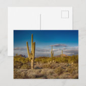 De Zonsondergang van de cactus in Arizona Briefkaart (Voorkant / Achterkant)