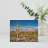 De Zonsondergang van de cactus in Arizona Briefkaart (Staand voorkant)