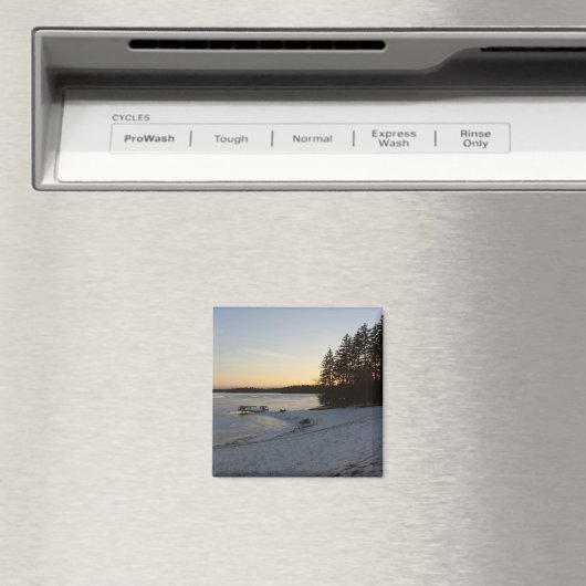 De Zonsondergang van de winter Magneet (Insitu (Vaatwasser))