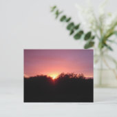 De Zonsondergang van Everglades over de Bomen Briefkaart (Staand voorkant)