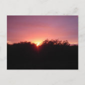 De Zonsondergang van Everglades over de Bomen Briefkaart (Voorkant)