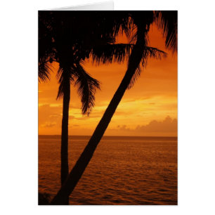 De zonsondergang van Florida Key