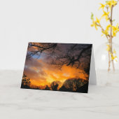 De Zonsondergang van het midden van de winter - Kaart (Gele Bloem)