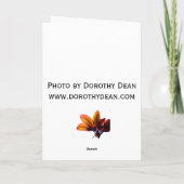 De Zonsondergang van Kam van het fort Kaart (Achterkant)