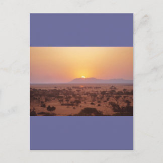 De Zonsondergang van Serengeti Briefkaart