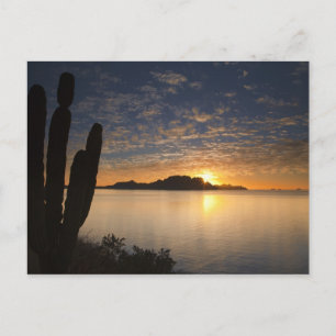 De zonsopgang boven Isla Danzante in de Golf van Briefkaart