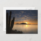 De zonsopgang boven Isla Danzante in de Golf van G Briefkaart (Voorkant / Achterkant)