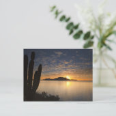 De zonsopgang boven Isla Danzante in de Golf van G Briefkaart (Staand voorkant)