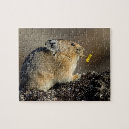 De zonsopgang uitspelen legpuzzel (Horizontaal)