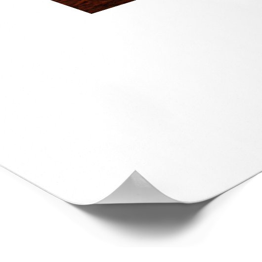 De zout kathedraal reisbureau poster (Hoek)