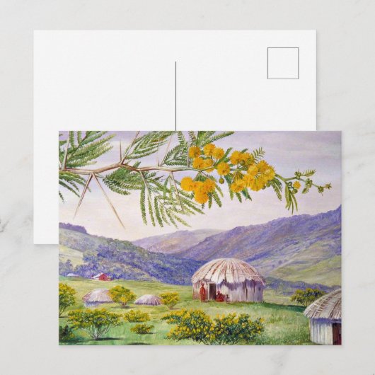 De Zuid-Afrikaanse Doornboom en Fingo Huts Briefkaart (Voorkant / Achterkant)