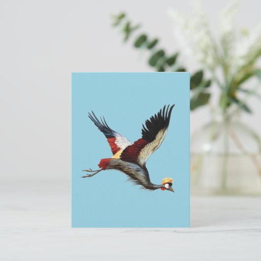 De Zuid-Afrikaanse gekroonde kraan in de middenvlu Briefkaart (Staand voorkant)