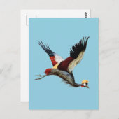 De Zuid-Afrikaanse gekroonde kraan in de middenvlu Briefkaart (Voorkant / Achterkant)