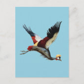 De Zuid-Afrikaanse gekroonde kraan in de middenvlu Briefkaart (Voorkant)