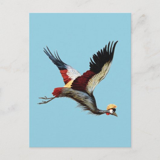 De Zuid-Afrikaanse gekroonde kraan in de middenvlu Briefkaart (Voorkant)