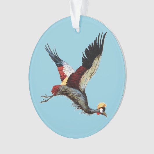 De Zuid-Afrikaanse gekroonde kraan in de middenvlu Ornament (voorkant)