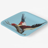 De Zuid-Afrikaanse gekroonde kraan in de middenvlu Papieren Bordje (Gebogen)