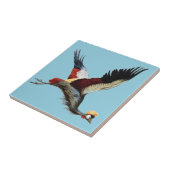 De Zuid-Afrikaanse gekroonde kraan in de middenvlu Tegeltje (Zijkant)