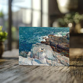 De Zuidelijke Ledges, Appledore | Childe Hassam Briefkaart