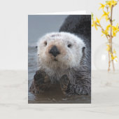 De zuidelijke Otter van het Zee (lutris Enhydra) Kaart (Gele Bloem)